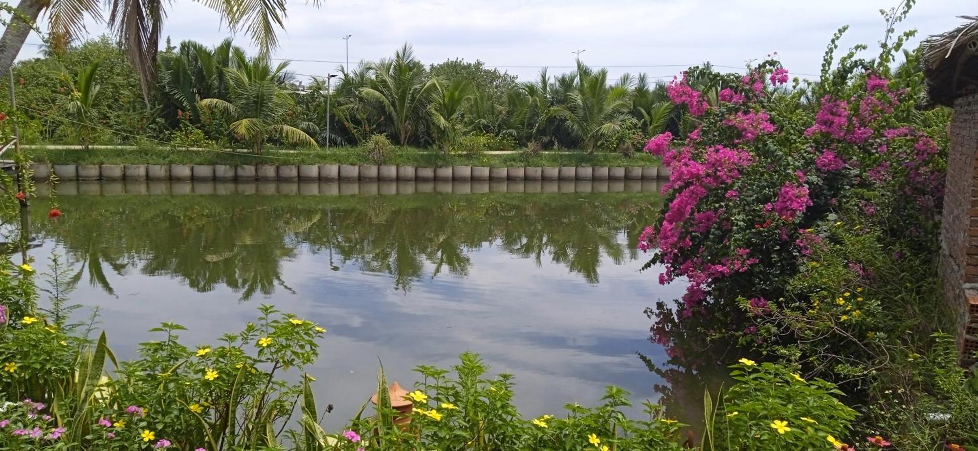 Lakeview Villa Homestay Hội An Kültér fotó